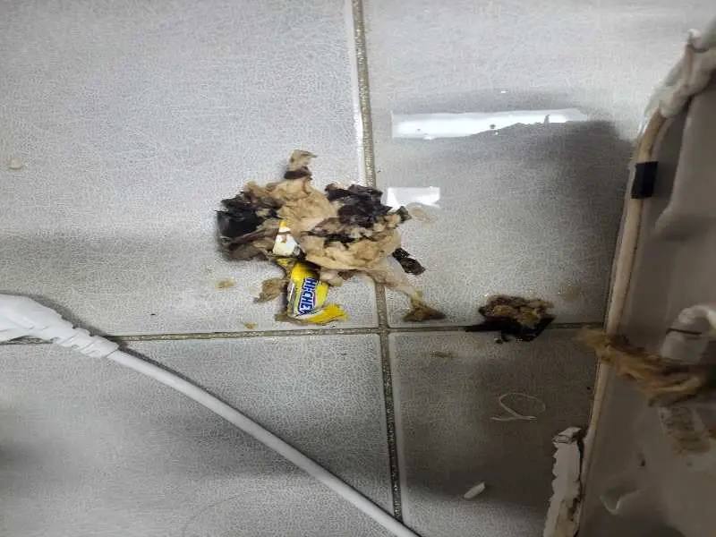 동대문구 배관 이물질 제거 사례 2
